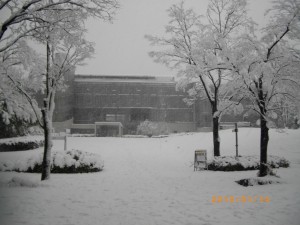 2013年1月14日(月祝)東京に大雪です。　首都大学国際交流センターも「まっ白け」