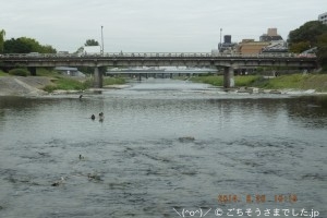 京都 鴨川 飛び石橋からの二条大橋